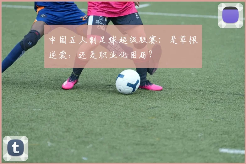 中国五人制足球超级联赛：是草根逆袭，还是职业化困局？